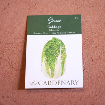 Chinese Cabbage Seeds