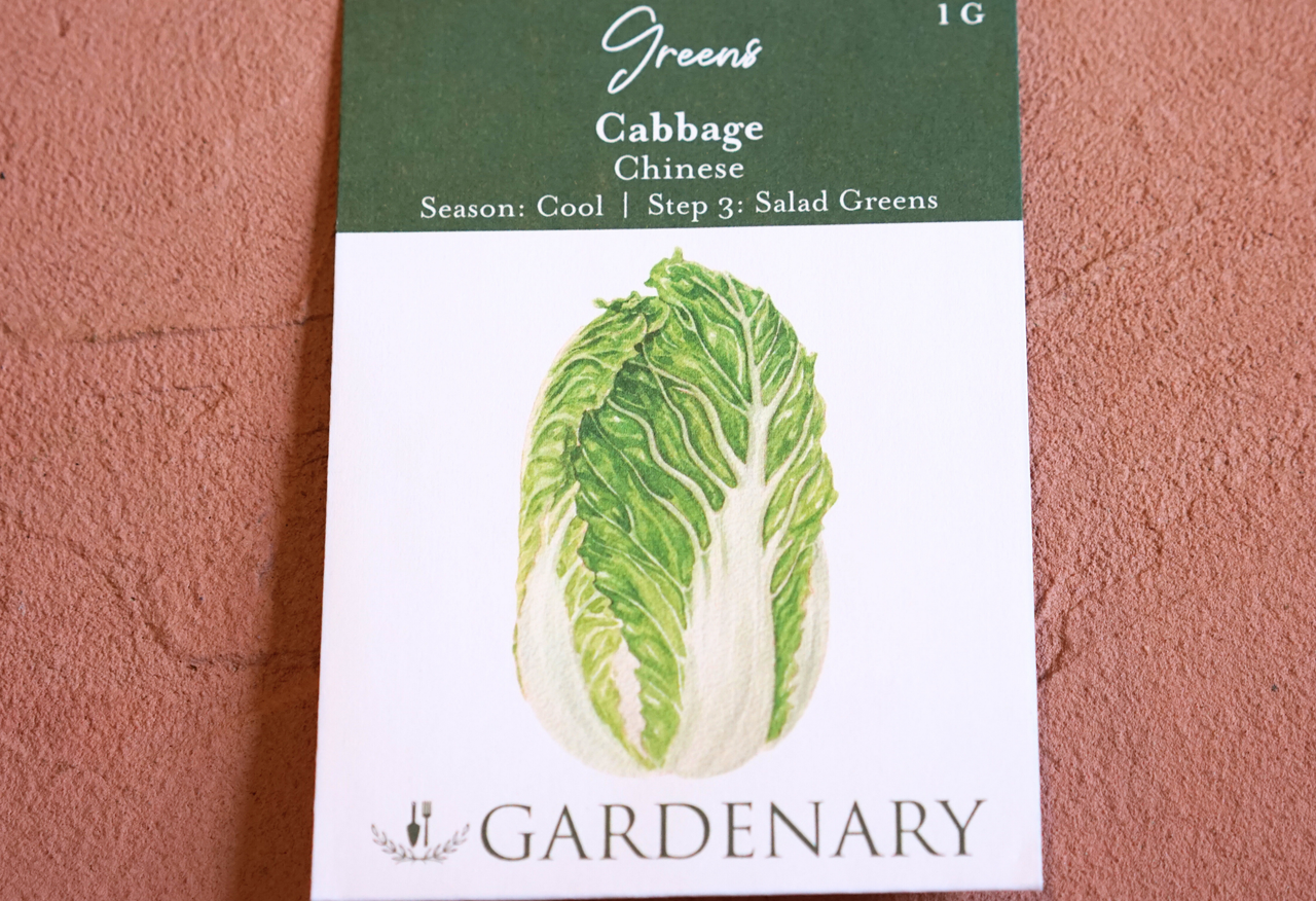 Chinese Cabbage Seeds