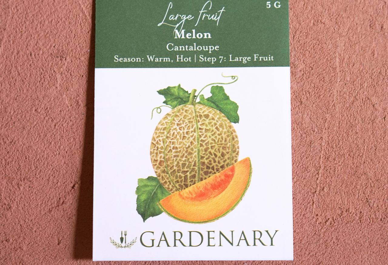 Cantaloupe Seeds