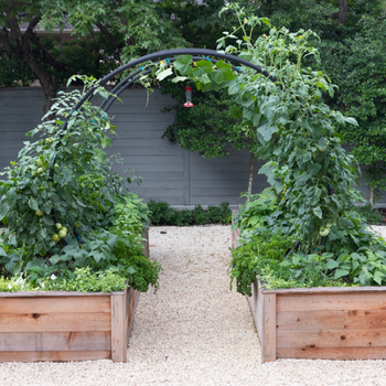 Twin Garden Package with Two Modern Arch Trellises