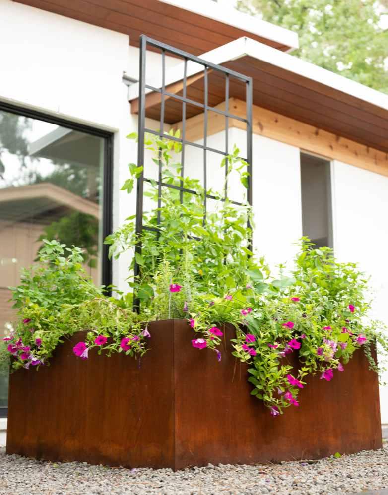 Carmen Kitchen Garden Bundle