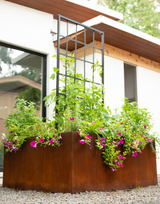 Carmen Kitchen Garden Bundle
