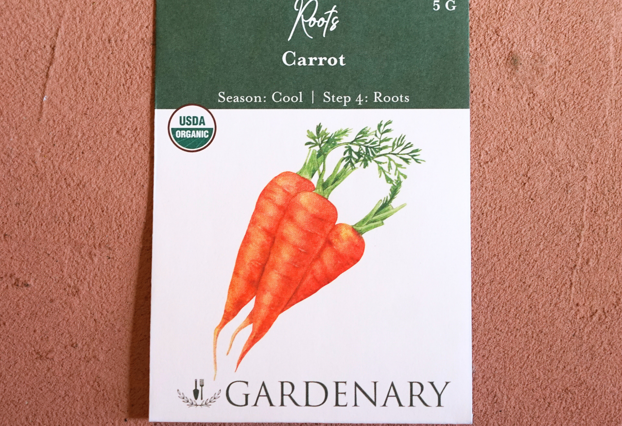 Carrot Seeds