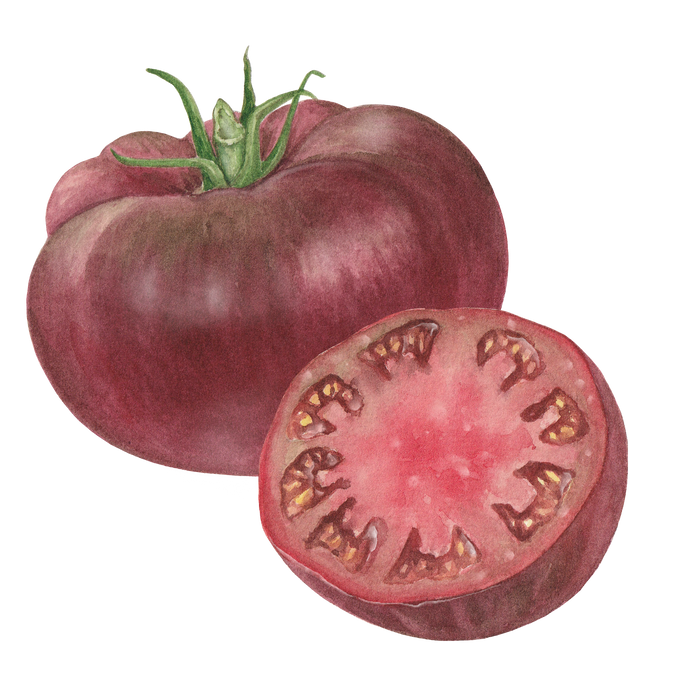 Purple Slicing Tomato Seeds