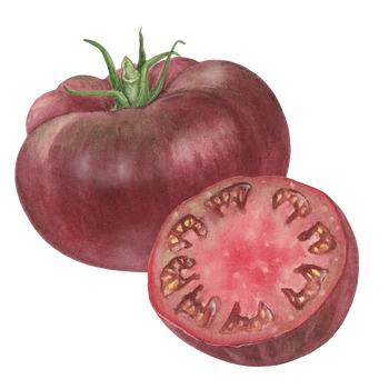 Purple Slicing Tomato Seeds