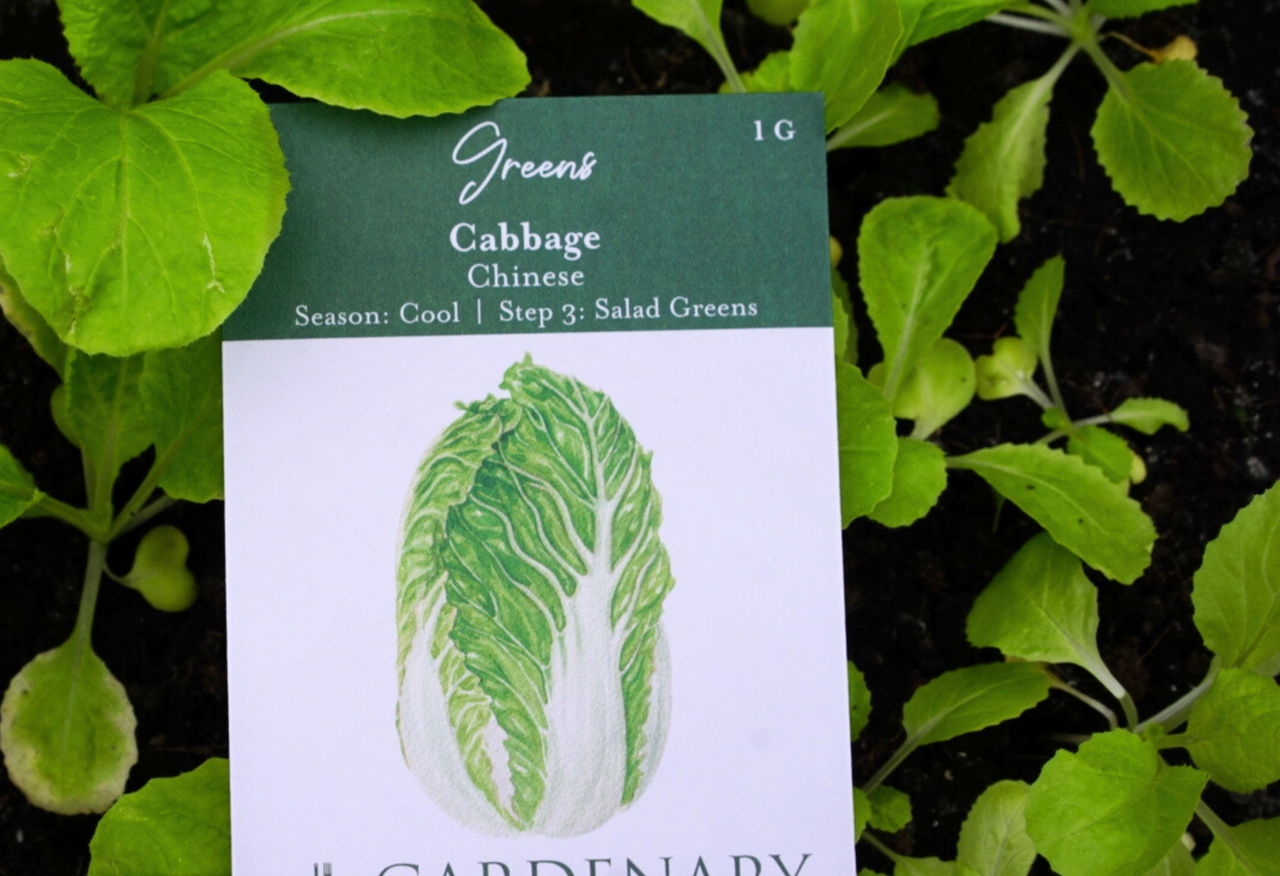 Gardenary Seeds