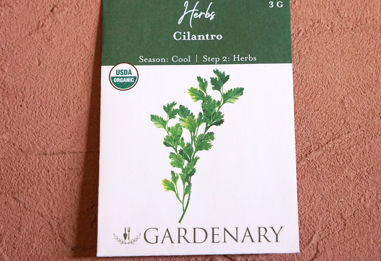 Cilantro Seeds