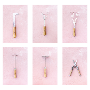 Salad Garden Tool Collection