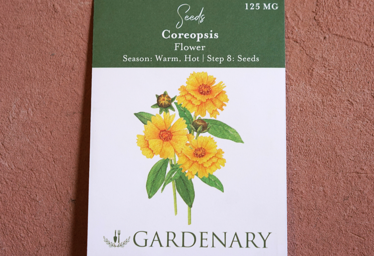 Coreopsis Seeds