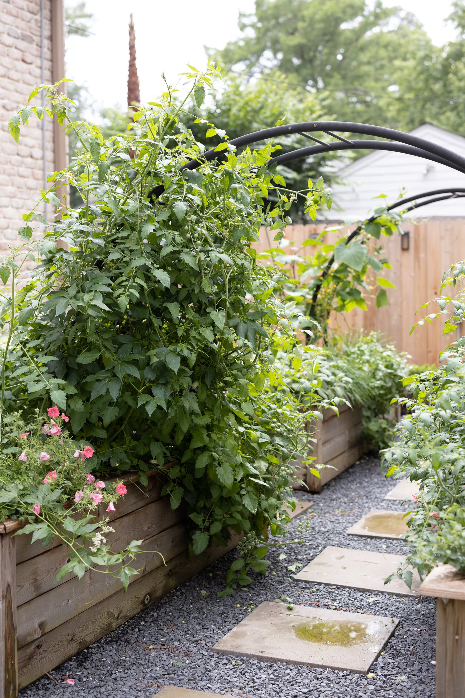 Marnie Kitchen Garden for KGA
