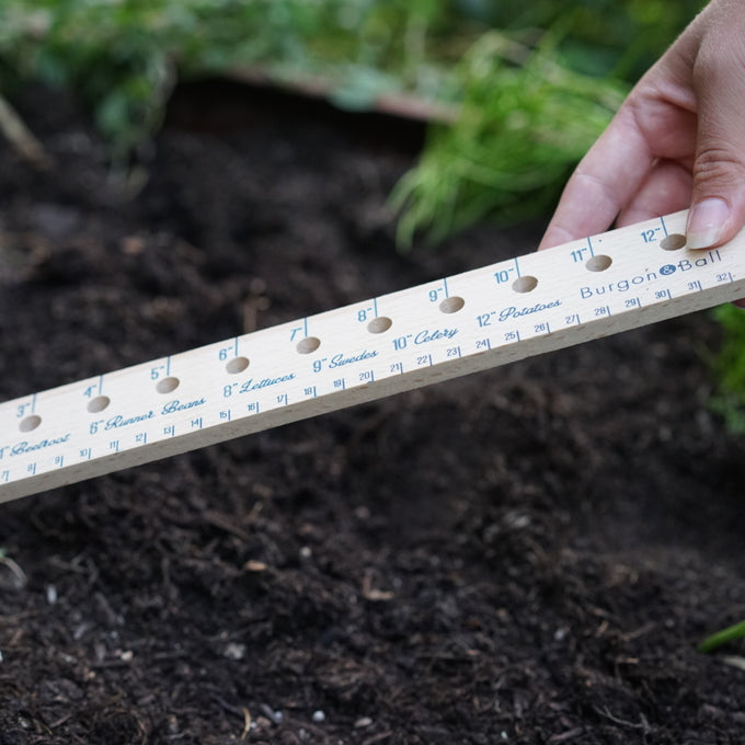 Wooden Planting Ruler, 12in