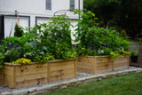 Natalie Kitchen Garden Bundle for KGA