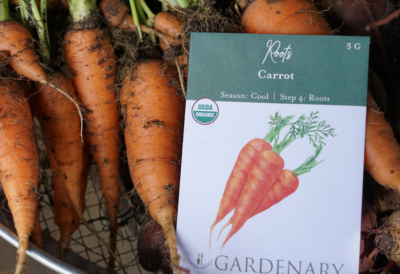 Root Vegetable Grow Kit