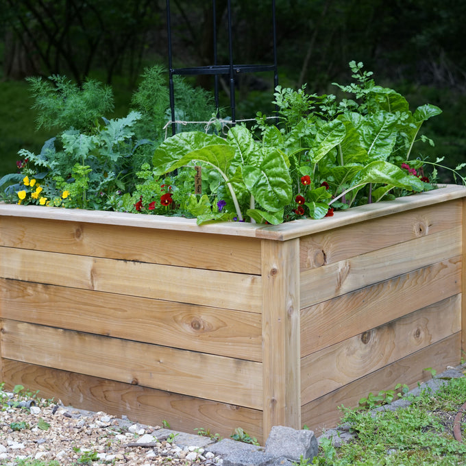 Standard Square Raised Kitchen Garden Package