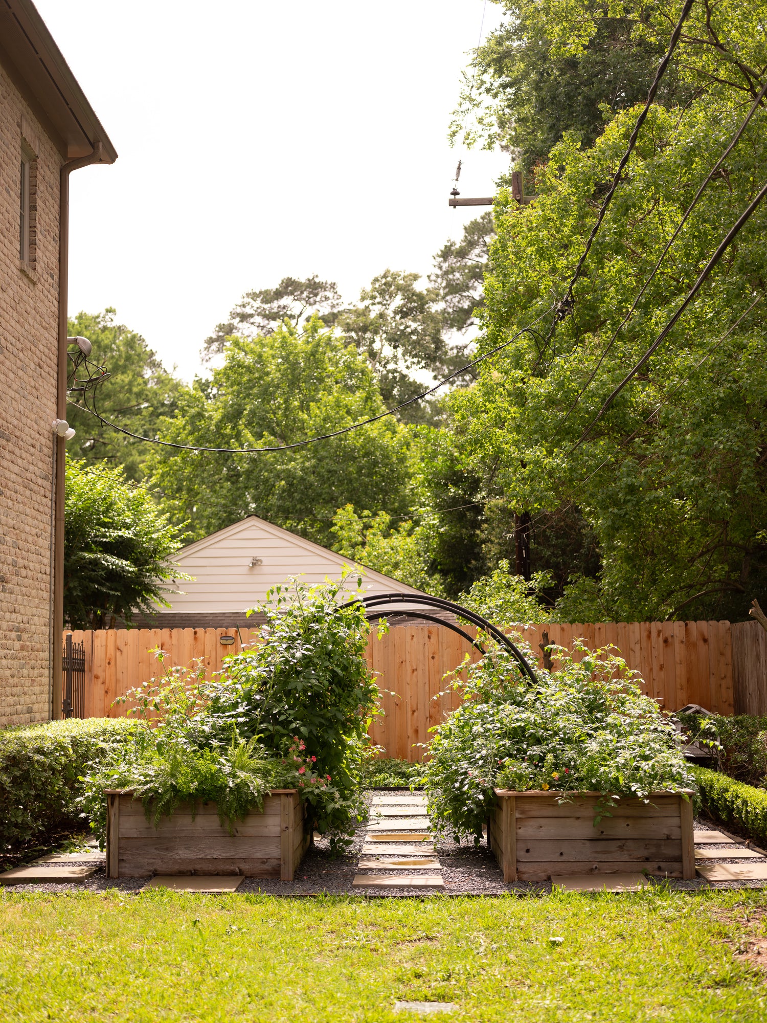 Marnie Kitchen Garden for KGA