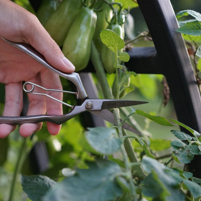 Stainless and Brass Precision Pruning Clippers