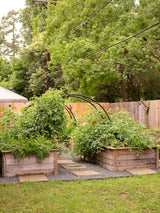 Marnie Kitchen Garden for KGA