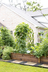 Traditional Diamond Rounded Arch Trellis