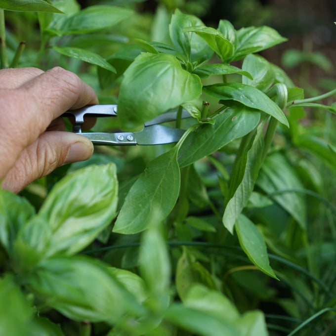 Mini Sharp Pruner