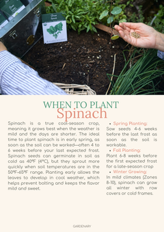 best time to plant seeds for garden 10 Easy Plants Every Gardener Should Grow