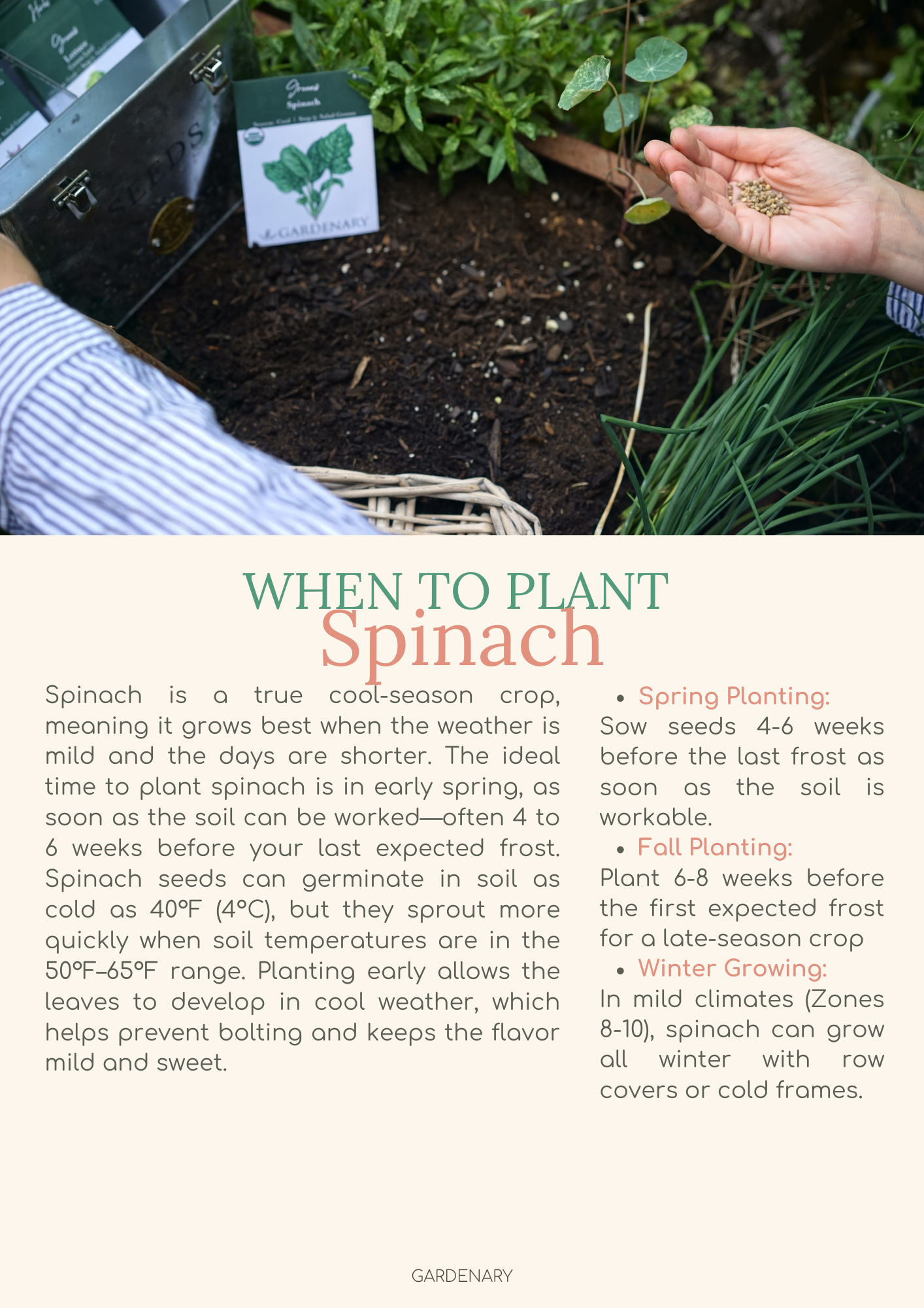 Easy Seed Growing Guide
