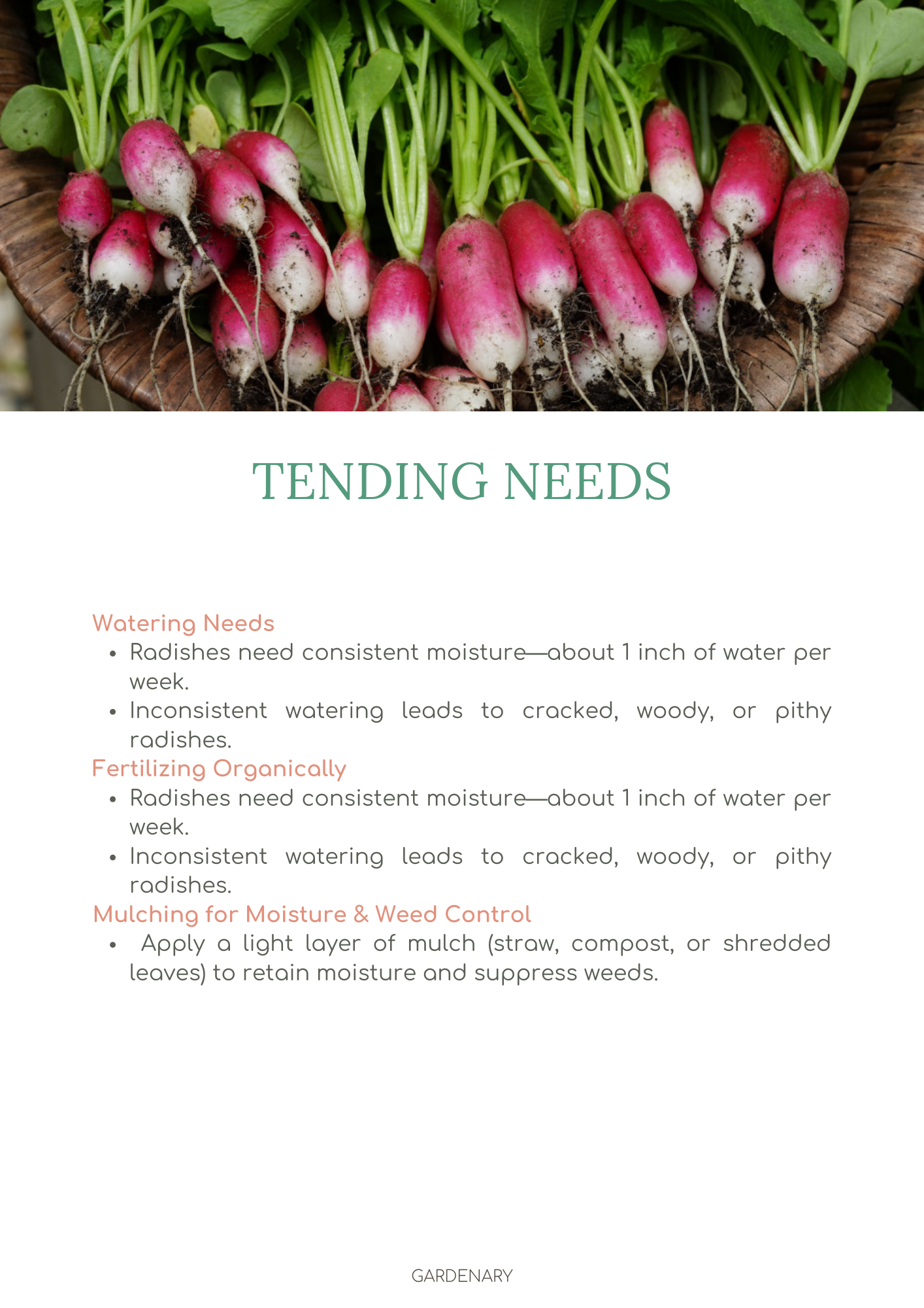 Easy Seed Growing Guide