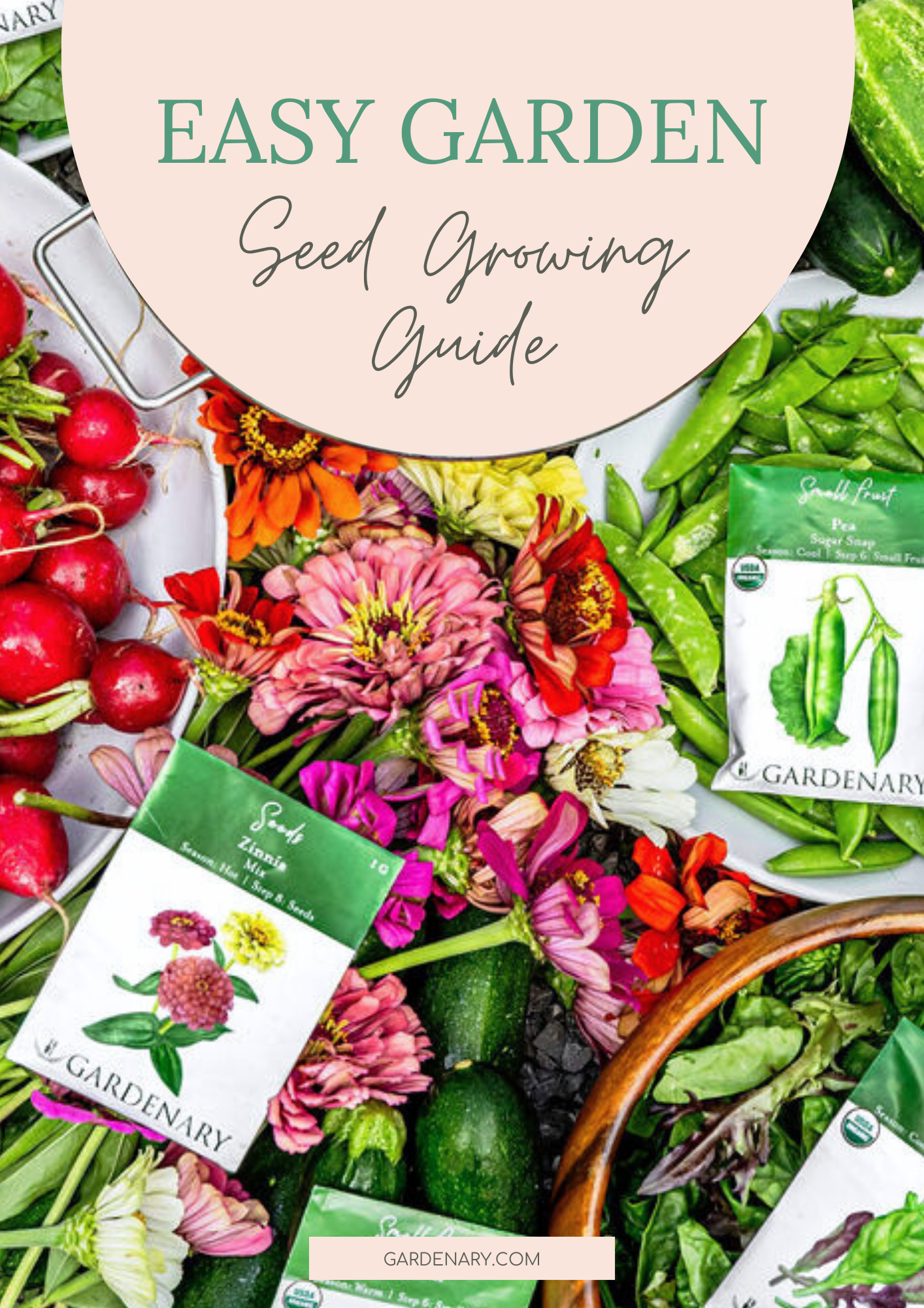 Easy Seed Growing Guide