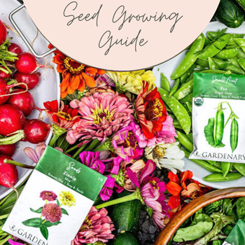 Easy Seed Growing Guide