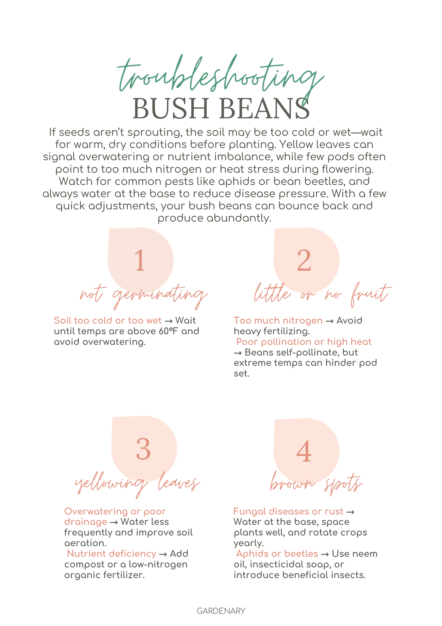 Easy Seed Growing Guide