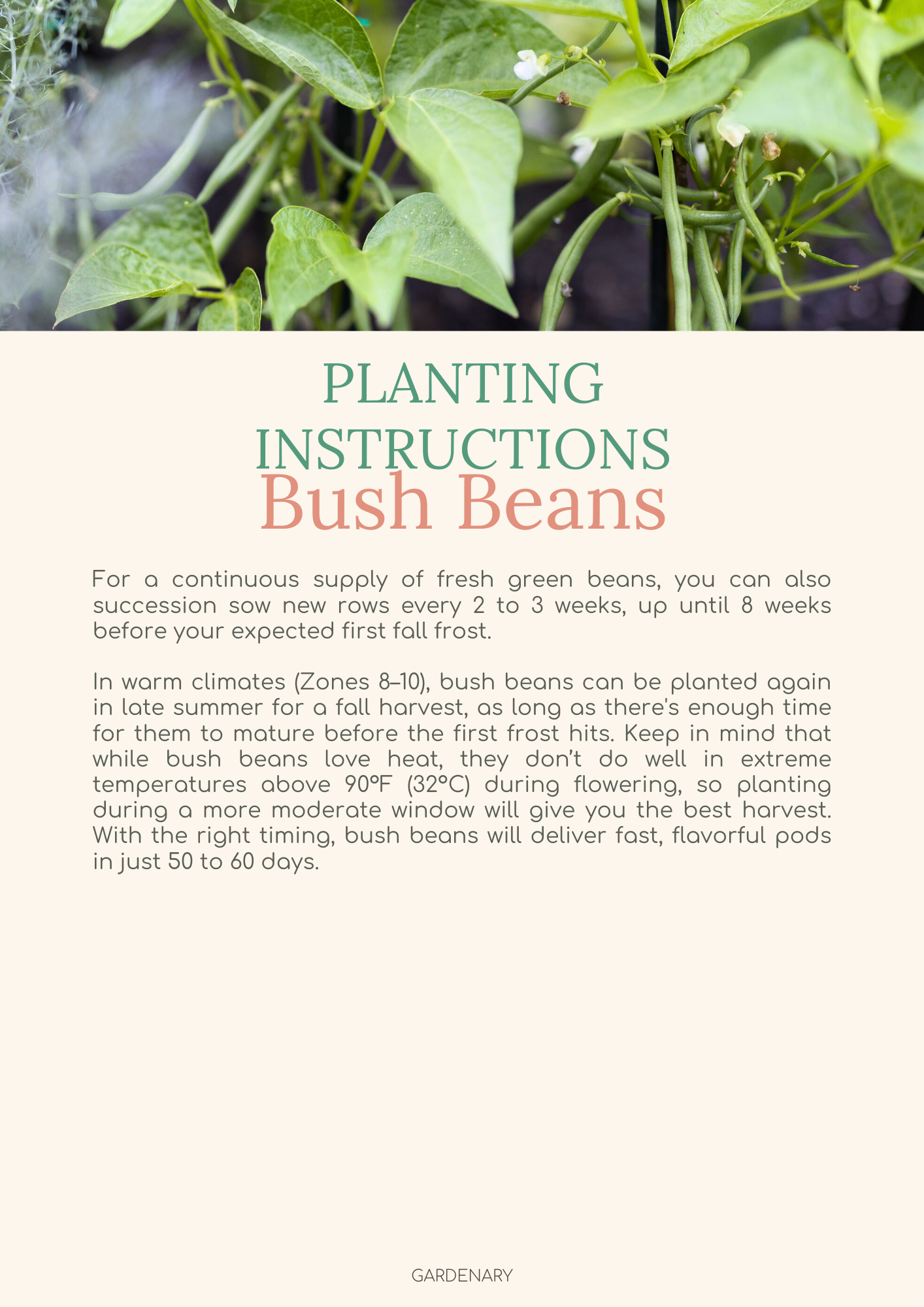 Easy Seed Growing Guide