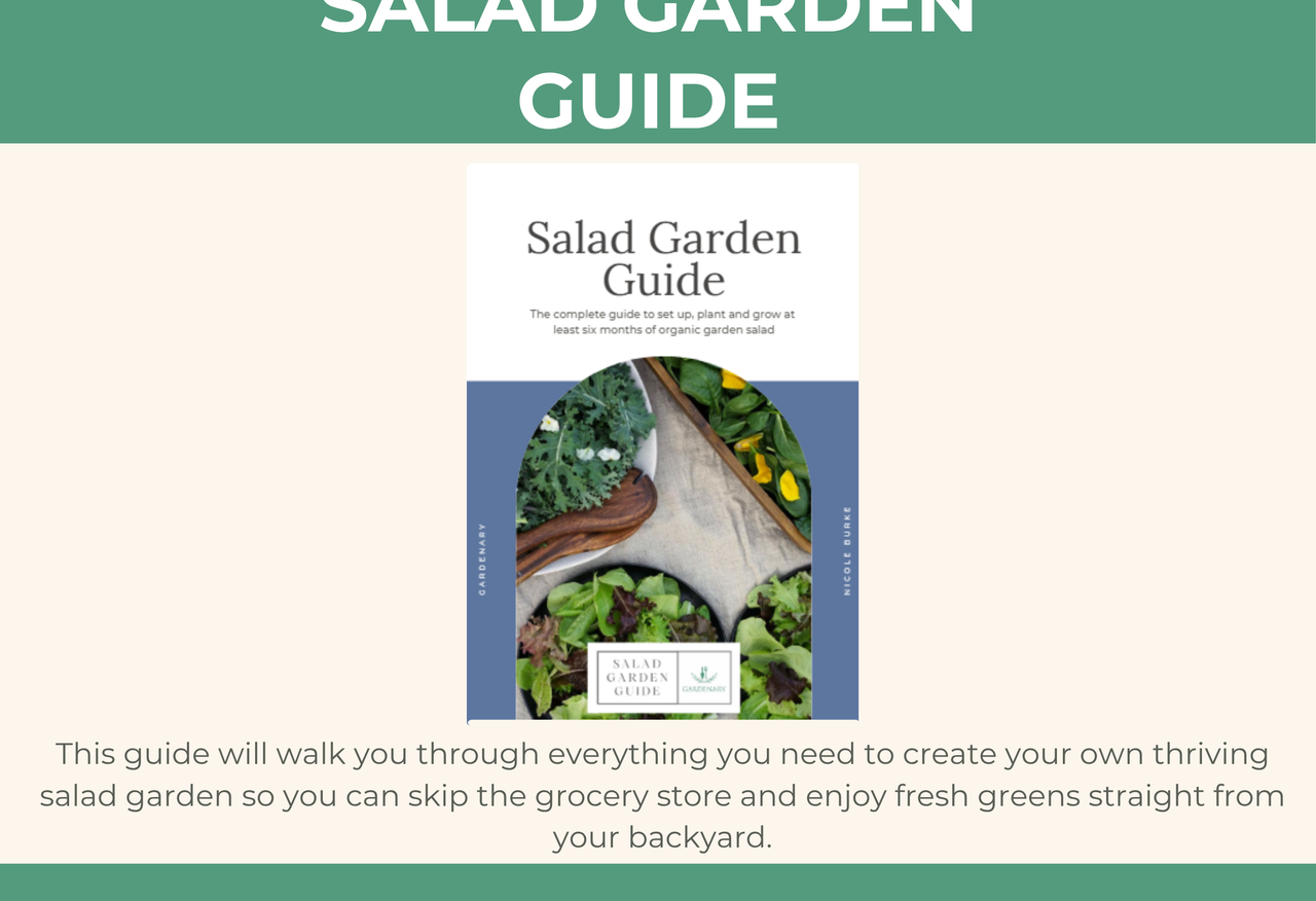 Salad Garden Guide Ebook