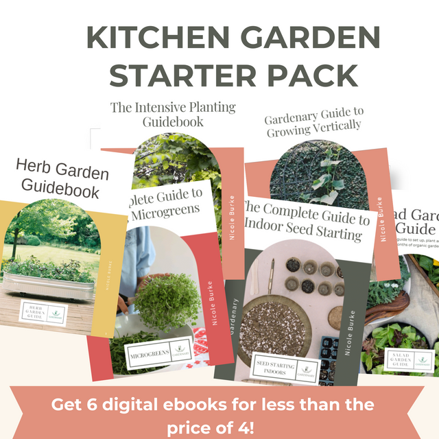 Kitchen Garden Starter Pack