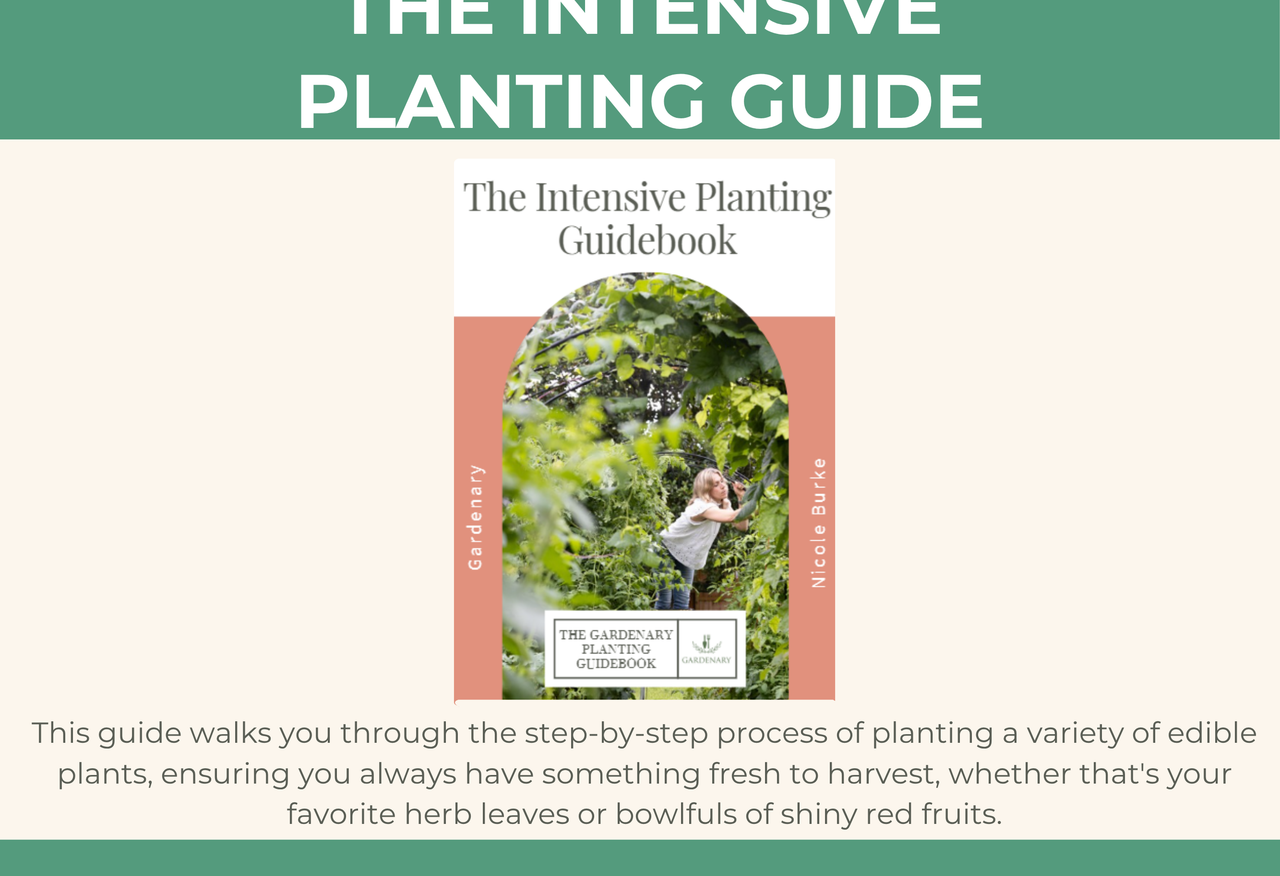 Intensive Planting Ebook