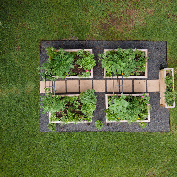 The Donna Kitchen Garden Package: Four 4' x 8' x 2' Cedar Raised Bed Kitchen Garden Package and Two Nicole Arch Trellises
