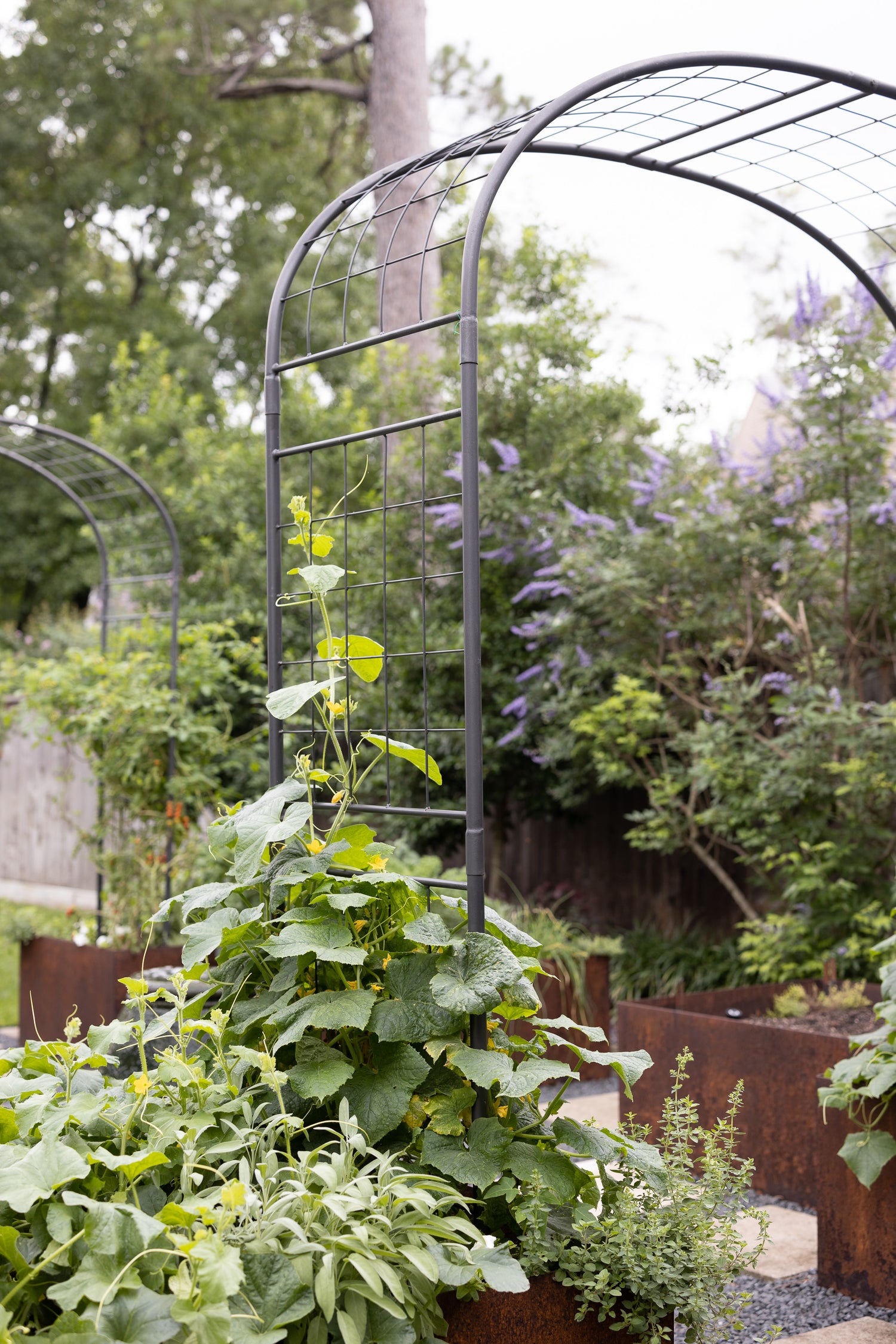 Formal Potager Arch Trellis