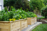 Paris Arch Trellis
