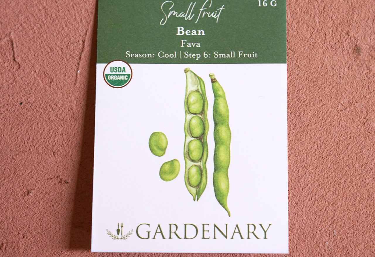 Fava Bean Seeds