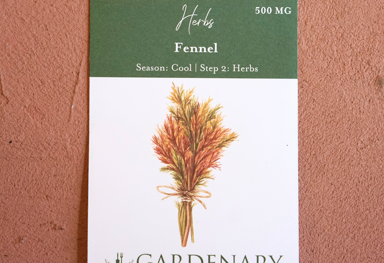 Fennel Seeds