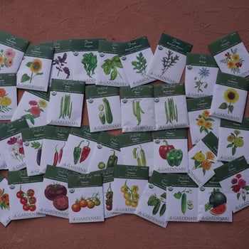 Warm Season Seed Collection