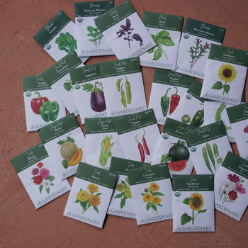 Hot Season Seed Collection