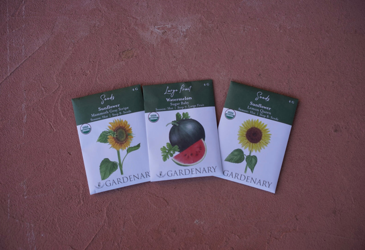 Summer Seed Collection