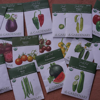 Warm Season Seed Collection