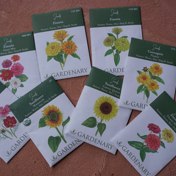 Hot Season Seed Collection