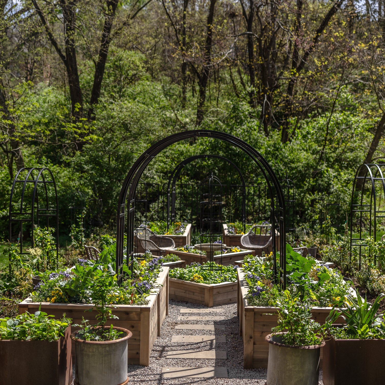Garden with raised beds and a metal archway surrounded by trees and plants.