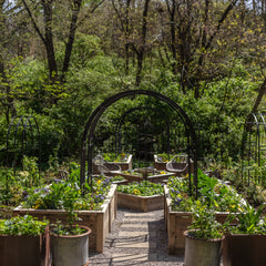 Garden with raised beds and a metal archway surrounded by trees and plants.