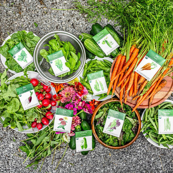 free garden seeds samples by mail 10 Essential Garden Seeds — Free with Shipping
