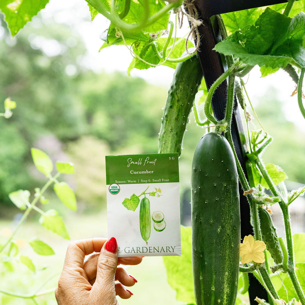 10 Essential Garden Seeds - Free with Shipping