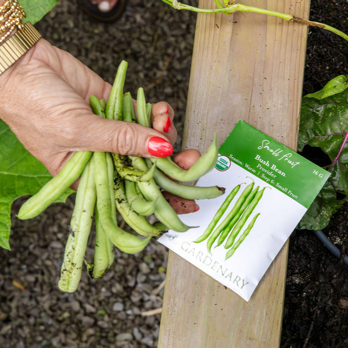Easy Garden Kit
