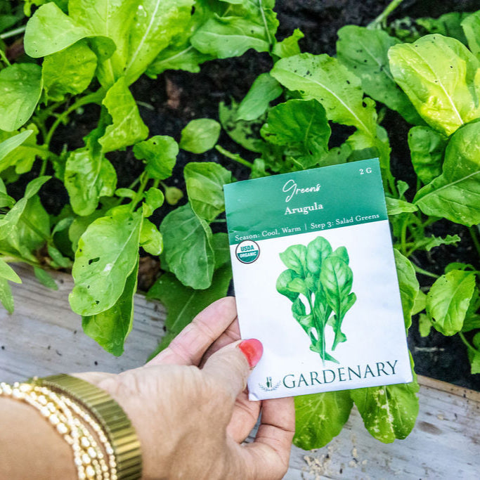 10 Essential Garden Seeds - Free with Shipping