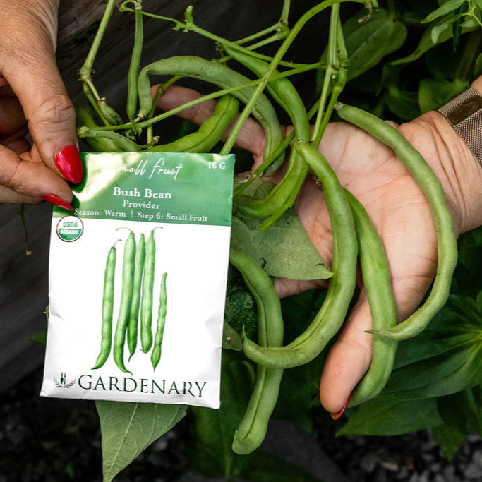 10 Essential Garden Seeds - Free with Shipping